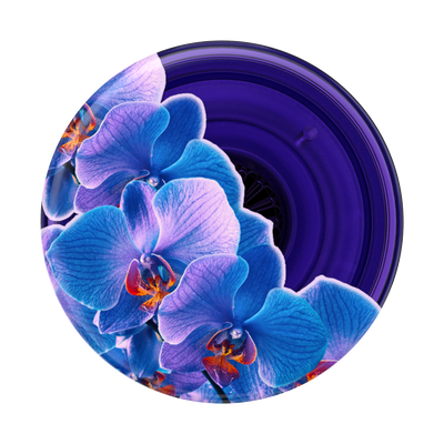 Secondary image for hover Translucent Dark Orchid