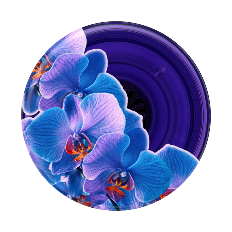 Translucent Dark Orchid image number 1