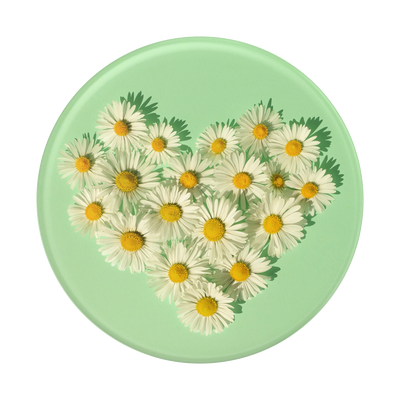 Secondary image for hover Daisy Lover